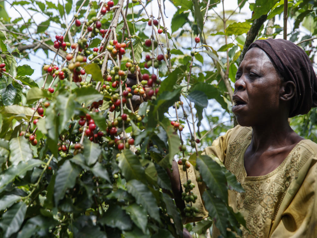 Kaserem — Mt. Elgon