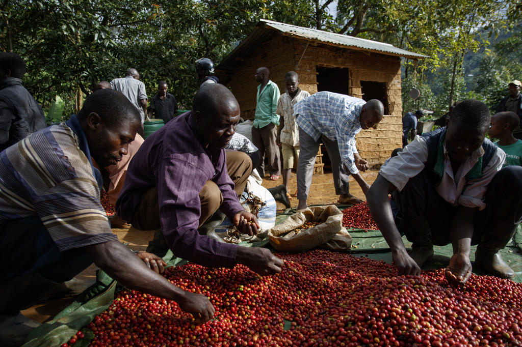 Budwale — Mt. Elgon