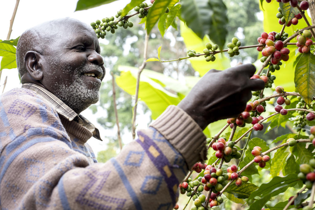 Sipi-Tangwen — Mt. Elgon